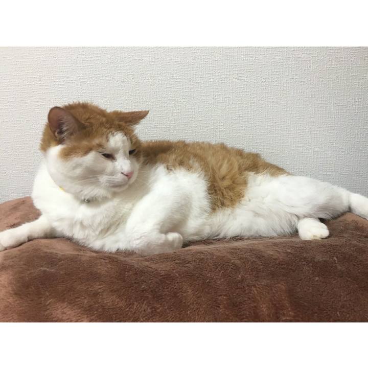 78c508c4 b557 4e37 b421 732bd297449d 1539209336242