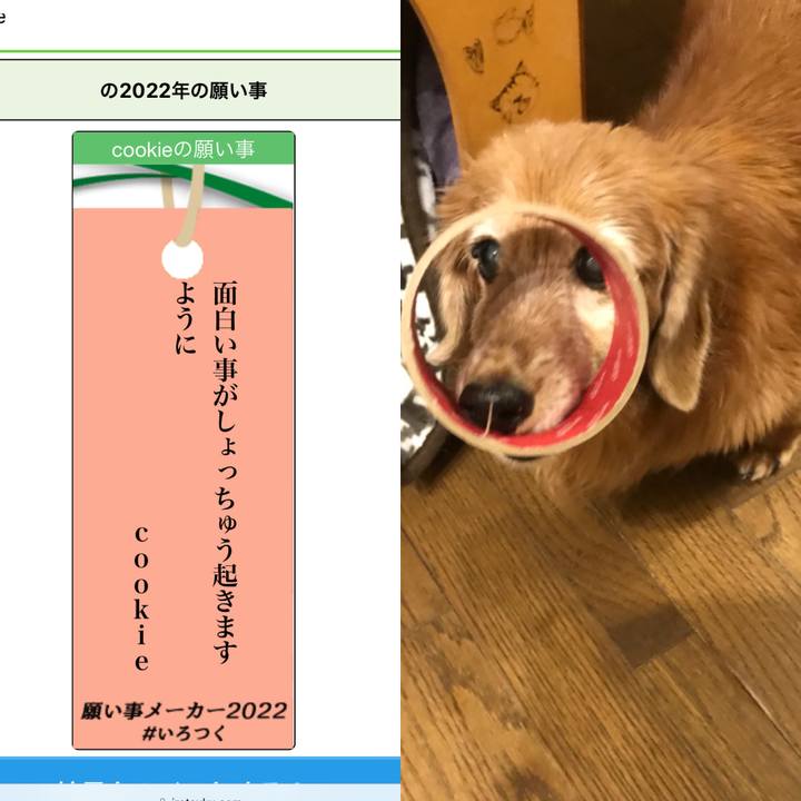 78c5150b 2e66 46d9 bd73 f146adf656bc 1657203792155