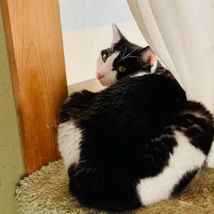 78c53201 b1d4 4b2f 85f5 150402ddc3f3 1615774967397