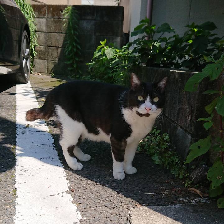 78c56ec1 3aaf 43af a500 10186be57719 1560401000015