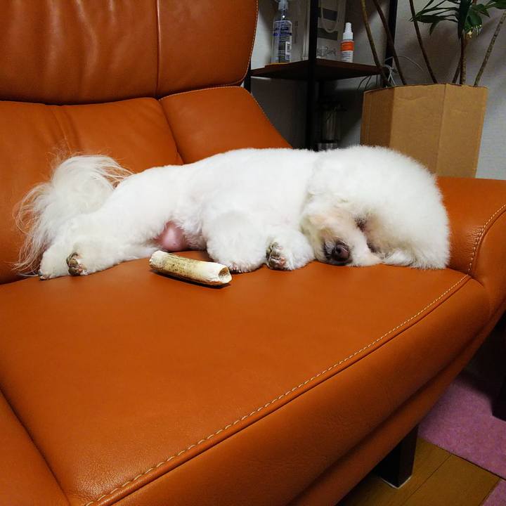 78c56fec 7087 4d43 ac14 7cb25dad0313 1559051838630