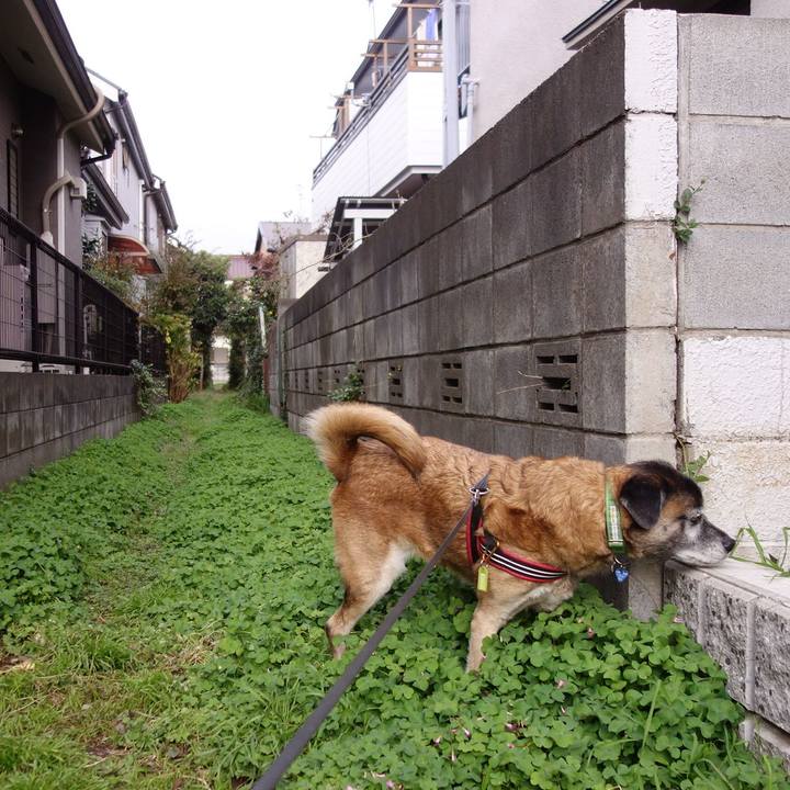 78c57a5a 8539 4402 969e 94044eaf85c4 1652055126527