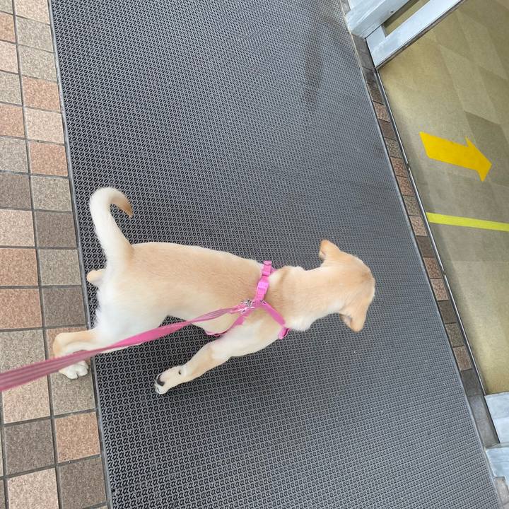 78c5d07e 2912 4439 90e4 8076bfd2d957 1614405268194