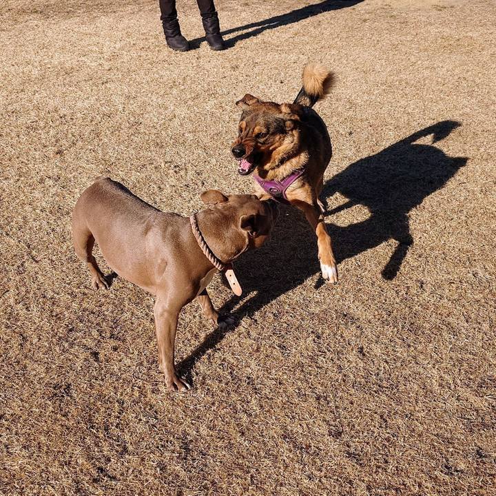 78c60e12 600e 4598 97b4 e85dadf3fc6f 1739084838504