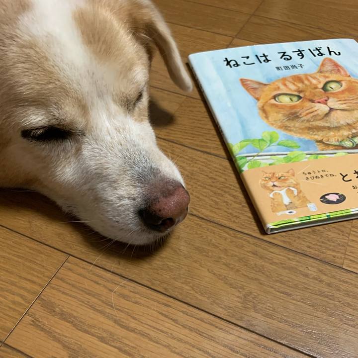 78c6163c 6819 4309 a578 3bdb1f880664 1601649976355