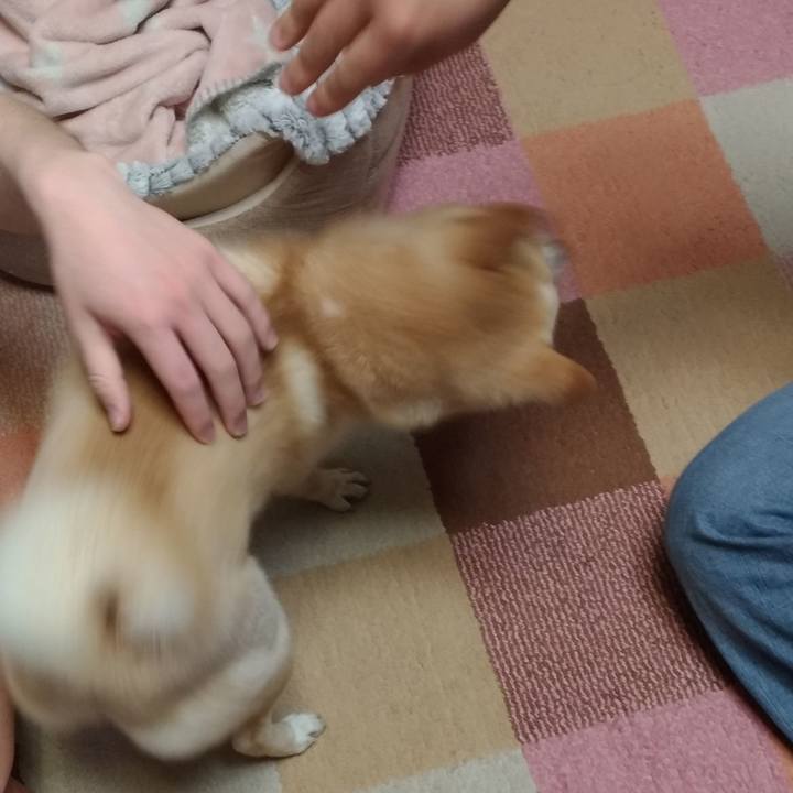 78c616d0 dd58 46a8 842e 50162735c592 1581544155422