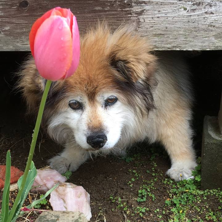 78c62ffe 28d8 4848 9f66 b5ad4bee8c5e 1573986001200