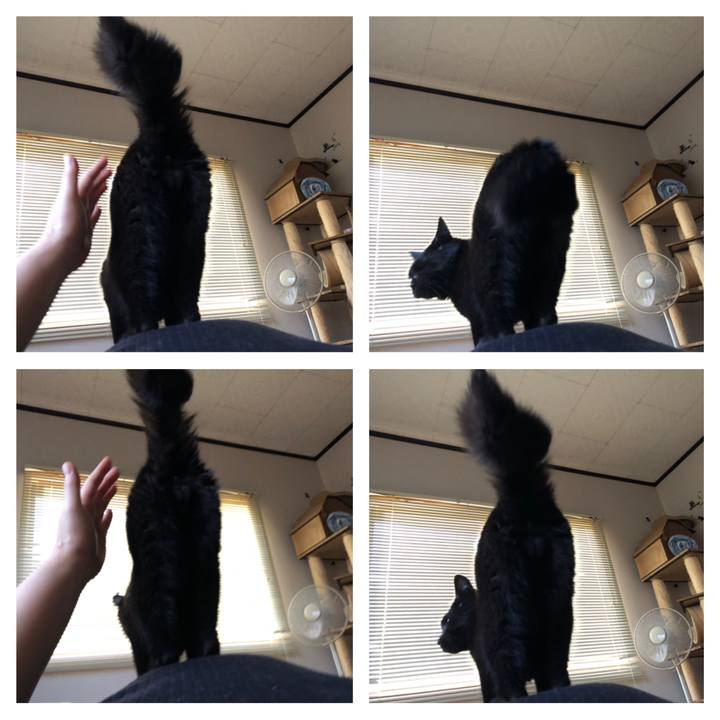 78c641f2 e3fd 4ad2 849b e2cdae0e5588 1567631113867