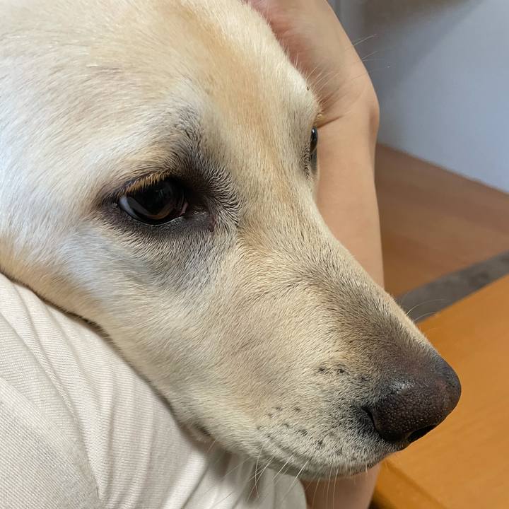 78c64411 0688 4cc9 8c68 ab2a6b9e8ff7 1621590736892