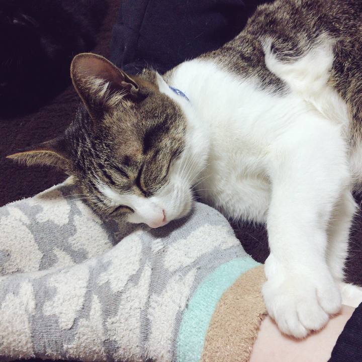 78c6a434 0579 4c46 a764 a28cc72f1c58 1512564980066