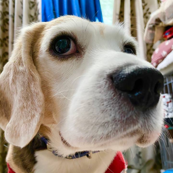 78c6aa74 a042 439a acb3 44e5b15e1701 1583386499414