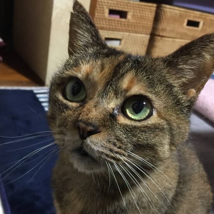 78c6ebb9 aeca 4dd8 8636 b3310a312f31 1529497426628