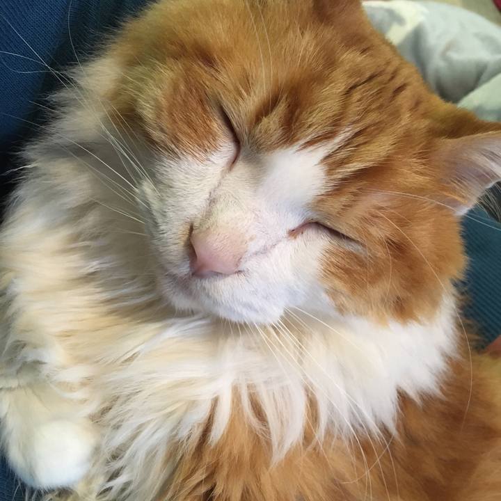 78c6ef56 f851 4795 b697 830d20740cd5 1574050916543