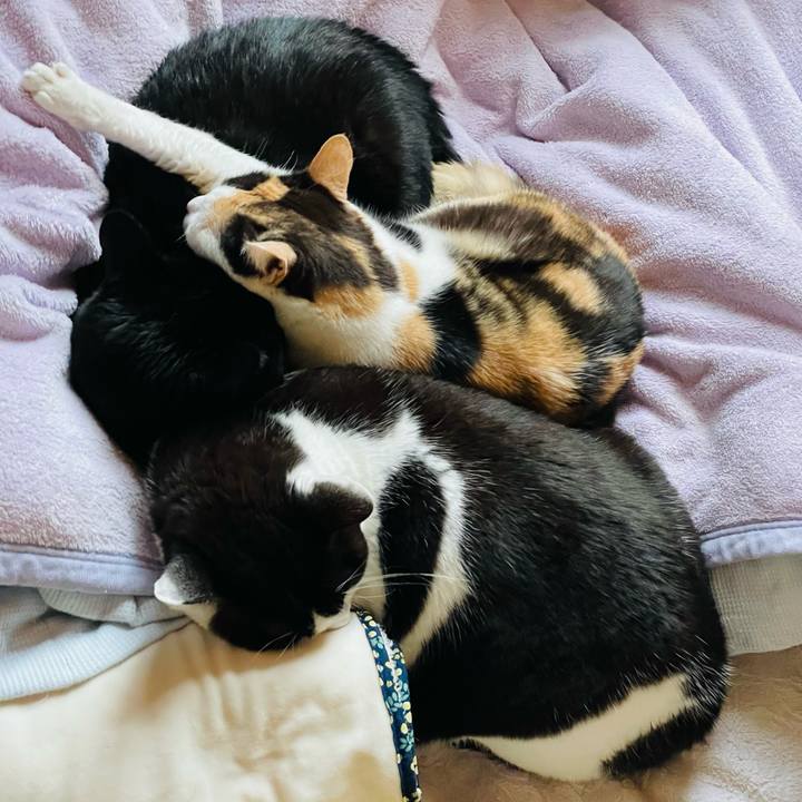 78c6f07d 4f05 4f14 86ff 83c2ad5fdd2a 1652234953328