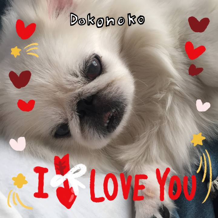 78c702a0 0ecb 4148 9e55 d73e664beb1e 1706791336484