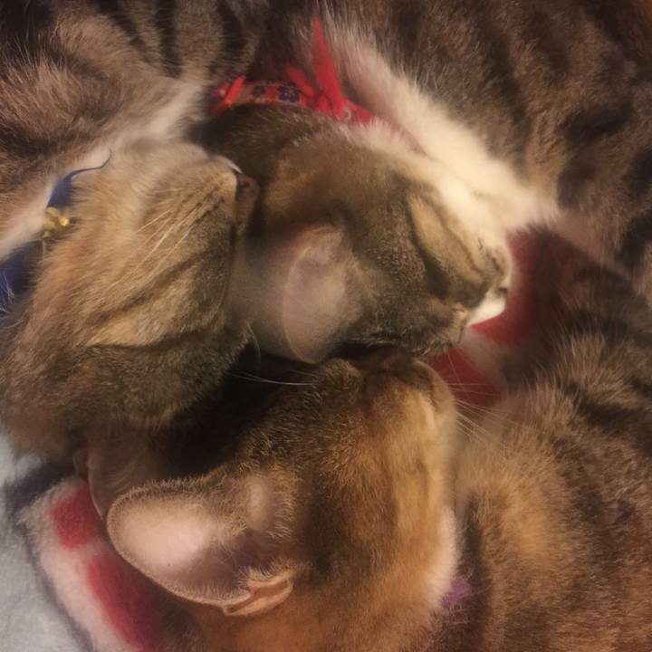 78c712ba 4893 4639 93e3 e00558264b4f 1570096338527