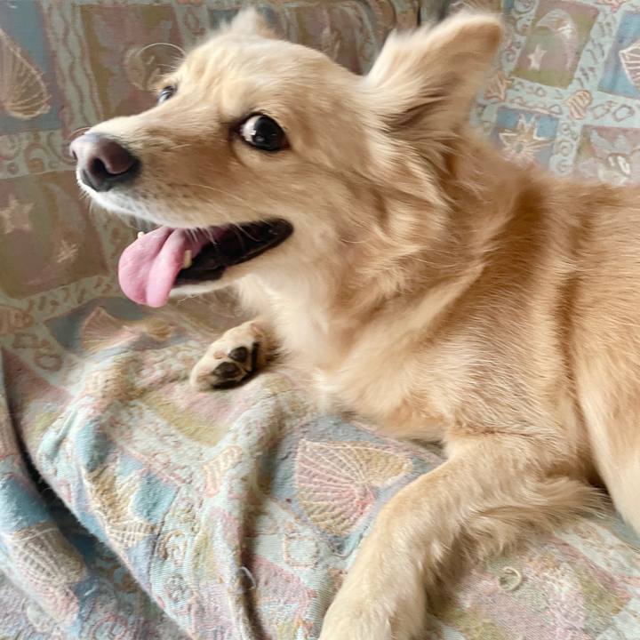 78c72144 631b 4b15 8ef8 6cd0cc756dd5 1762499464121