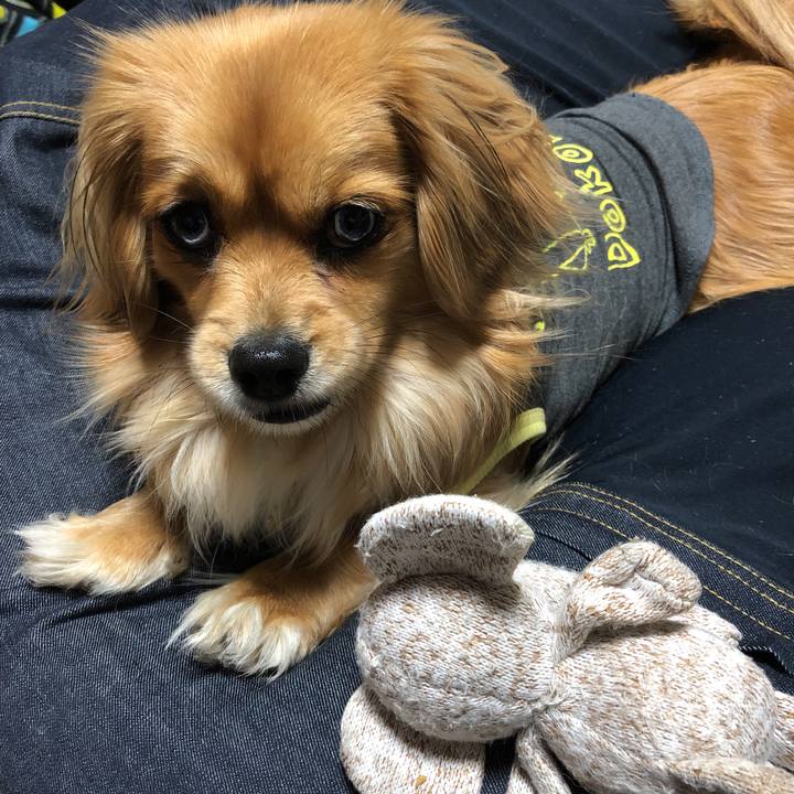 78c7646b b311 4e55 bd8b 3e01f57b3ad2 1551604797491