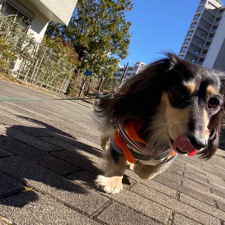 78c76de1 3c90 4558 a381 9663714cc6f4 1739337558981