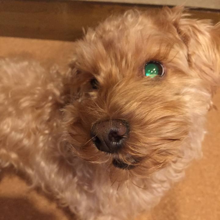 78c797f4 fe87 42f7 b1b9 5b6088cb1f5d 1513028673240