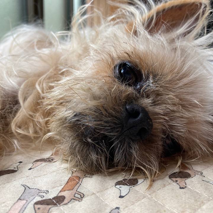 78c79ebe 236b 484f a473 5823c0a70a69 1622875690573