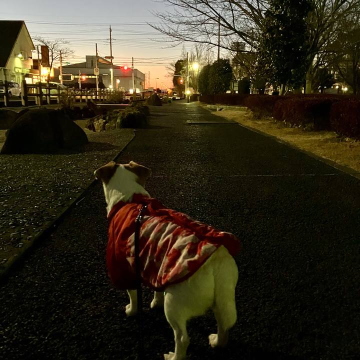 78c7b2a0 e210 4604 8d54 6e6d2071262a 1707734490268