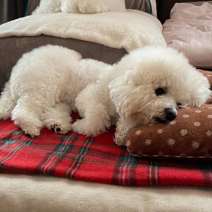 78c7b569 f6a1 4768 96cd 47c2aaf3fa67 1611383923405