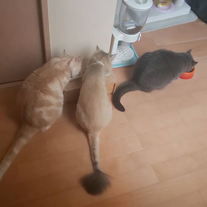 78c7e729 2f7e 4907 8640 c94035521ff1 1591434805664