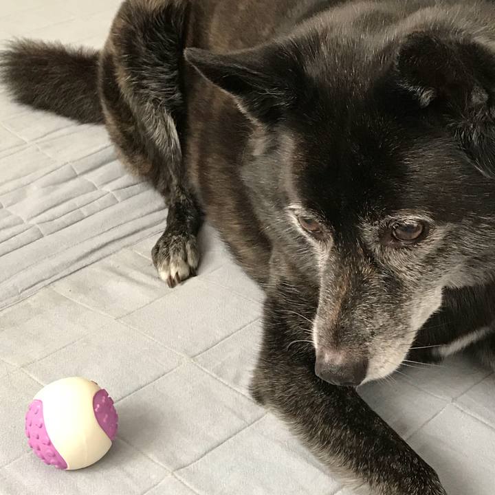 78c7effc e059 4ca7 bdea 9ba6ffa461aa 1536848599072