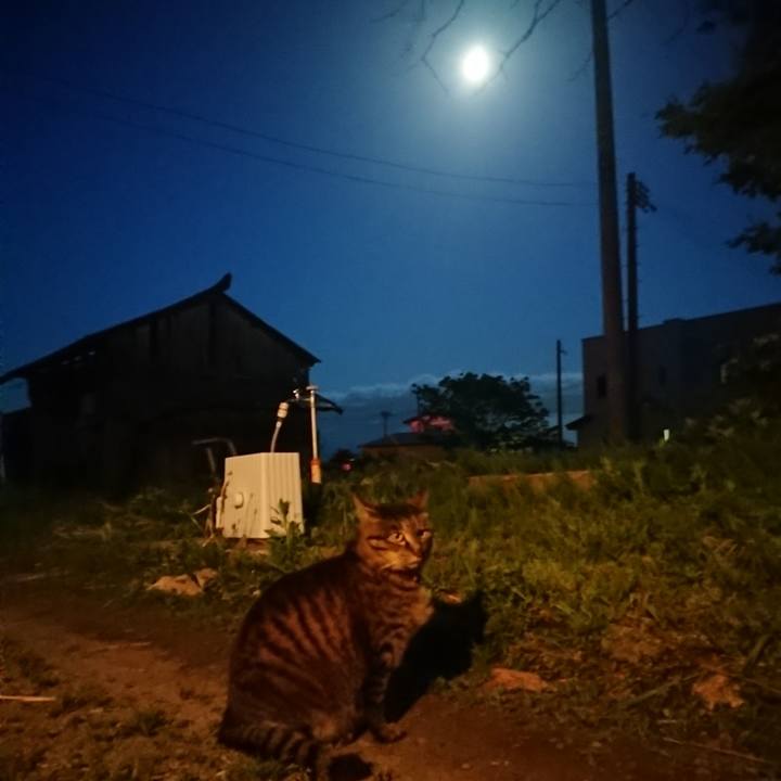 78c81c4e 3bdc 4437 9908 595c48d5dcad 1652524703204