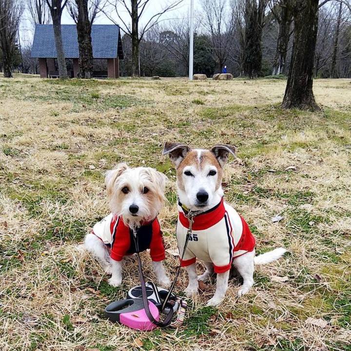 78c821f3 efeb 40d9 bdaf d96bf75c8acd 1678137462406