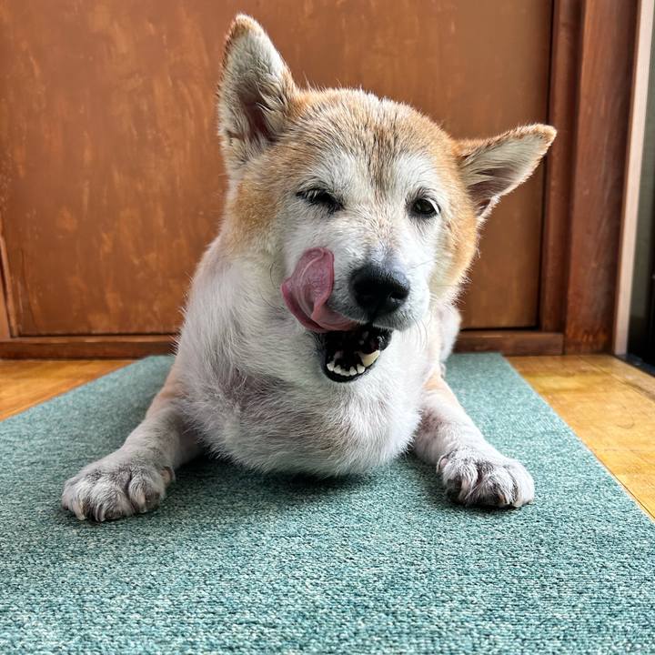 78c82ade fa7d 4f87 a32d c66aef2e780c 1761623946312