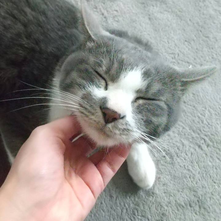 78c84493 b736 4e97 9d08 38d232e46ef6 1648258255835