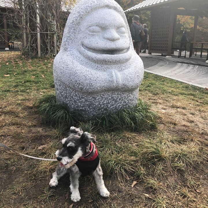 78c8607e aea5 4700 9d33 204b0cd1ef36 1669446049184