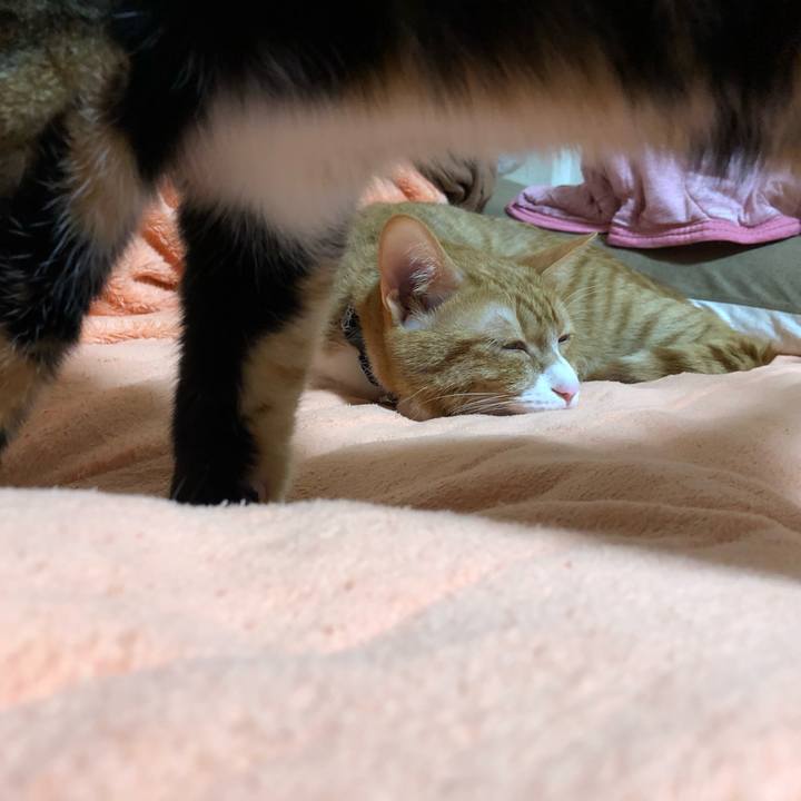 78c87022 295d 432a 97b3 0f9bcf9760e1 1557321233323