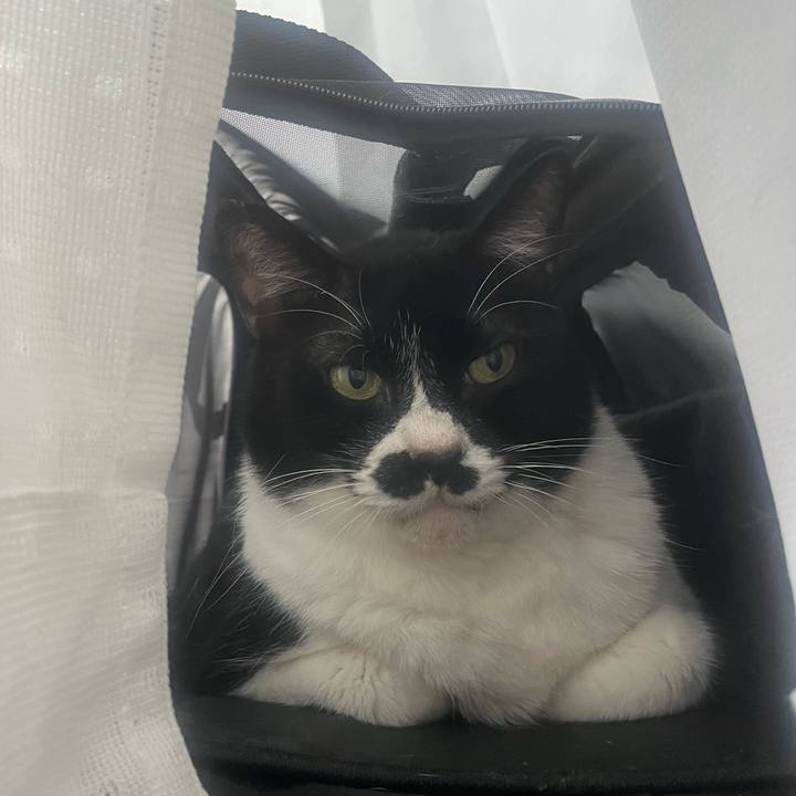 78c87869 1c5d 4137 81c3 ee04856aaeeb 1711929959695