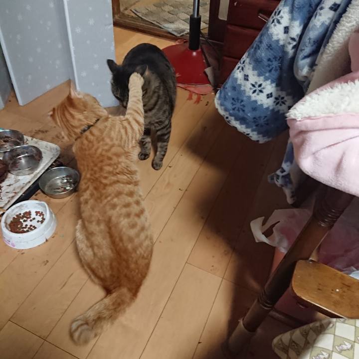 78c89a23 e3c6 46eb 997c d320ee96df08 1650440854667