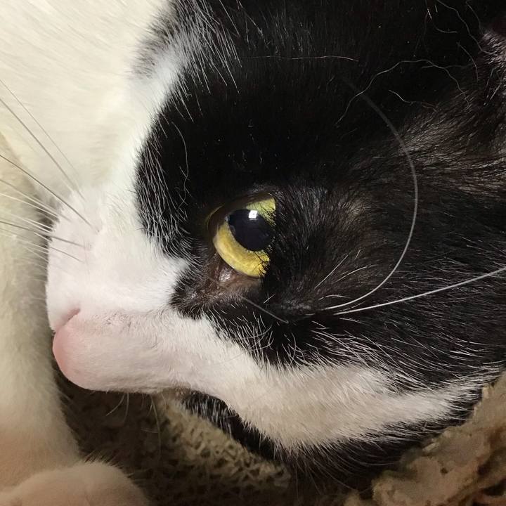 78c8c7af c145 4f48 903c 263056fce400 1730102569016