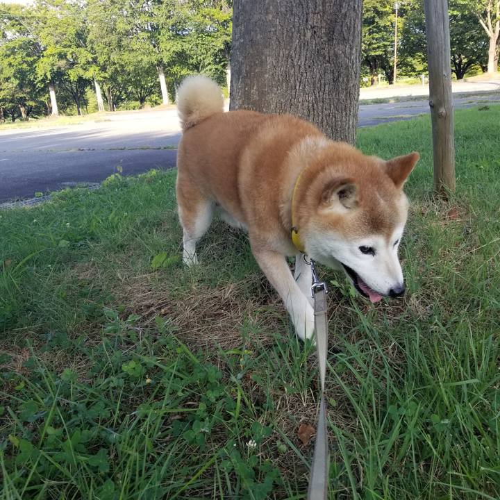 78c92ccb 6e75 4cfb 9173 fcfb77c89731 1691308665491