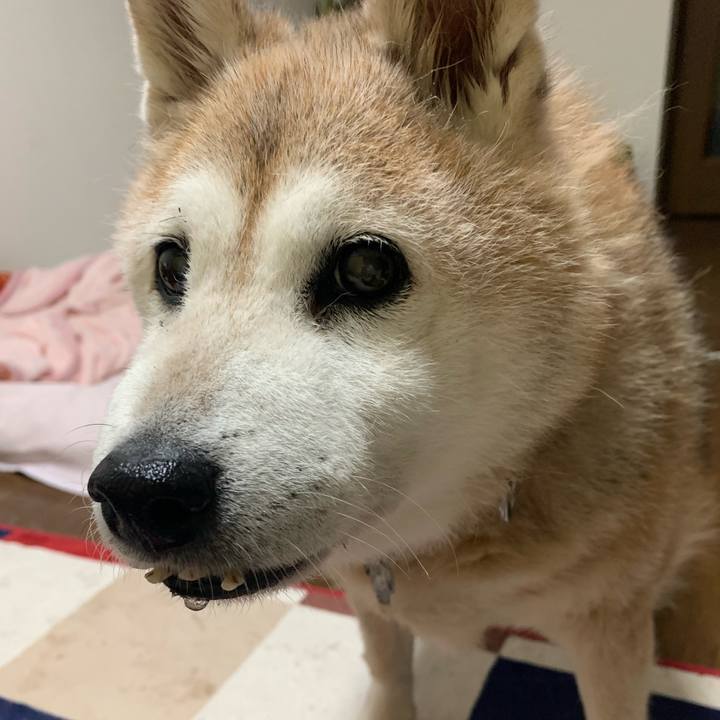 78c973d5 294b 472d bc95 cc1d39b1c802 1658631327926