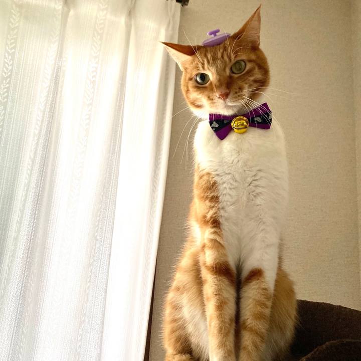 78c97f94 ffb8 4906 87fa 6e023b4cba15 1698742328126