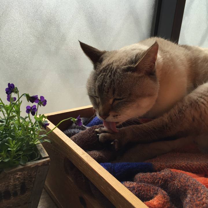 78c98195 5f9f 47e4 ac2d fbb3b6078541 1549342117661