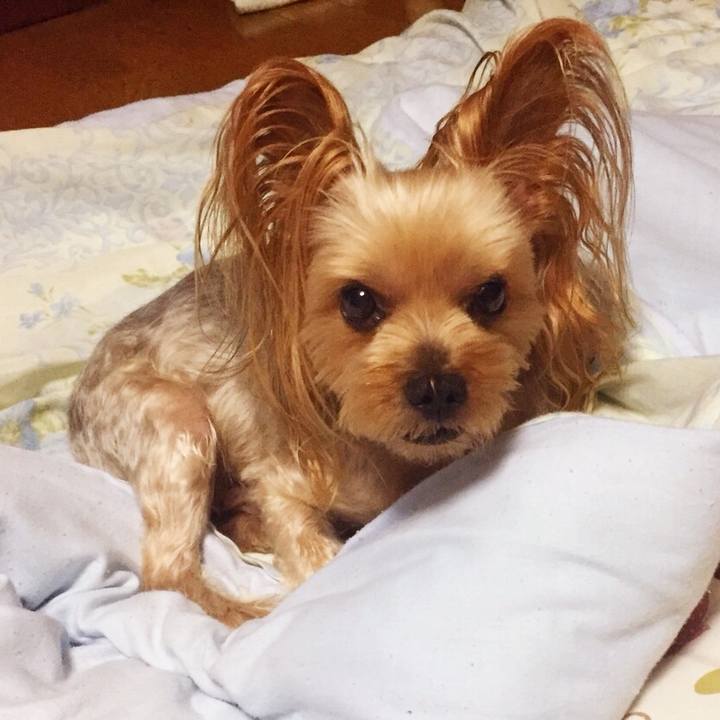 78c9a8fc 2f6a 4326 963d 943a2a17919a 1536332124787