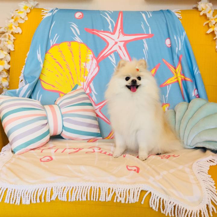 78c9de8b 0e86 46e2 9e4e a78f0e740553 1563509749887