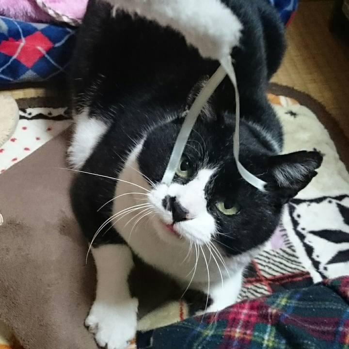 78c9e8f9 871c 4dbe 87a0 7a97c1ed55fe 1521607168479