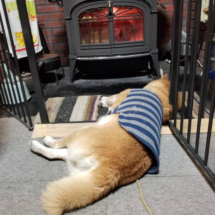 78ca01d4 93e5 426a a4a3 d9e2b4ae9cb0 1670662215700