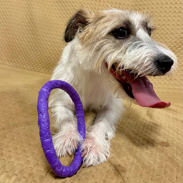 78ca551b 1622 4154 9424 dafc9cefc27e 1755546153920