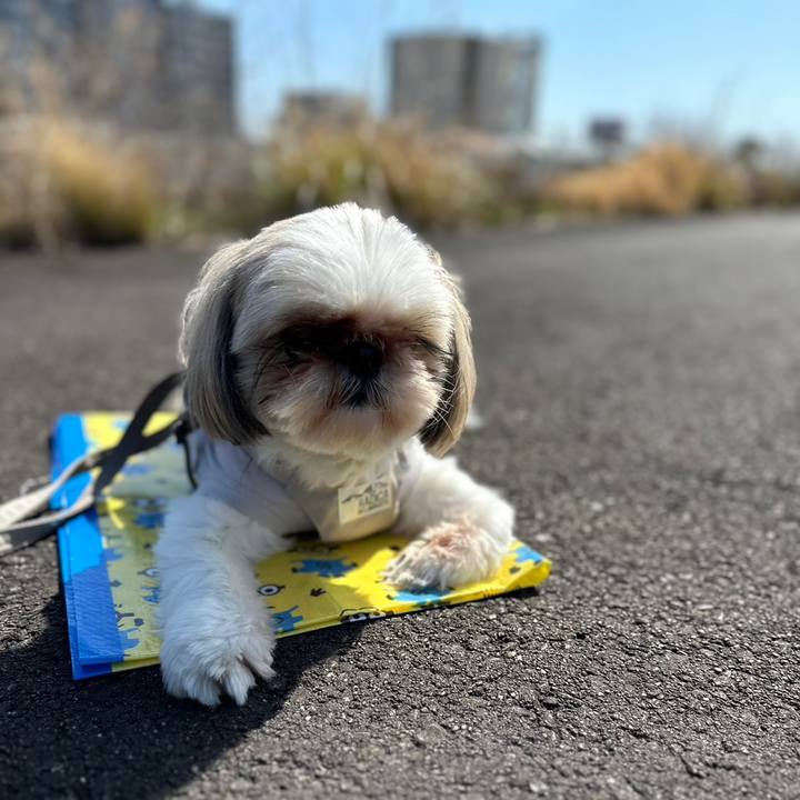 78ca83e2 9a61 4b3c 9772 a767dc3bd82b 1679319538921