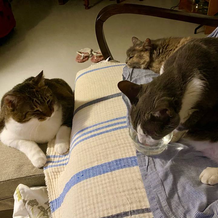 78caa4fd e777 49c5 b162 ca362cb0accd 1757252429822