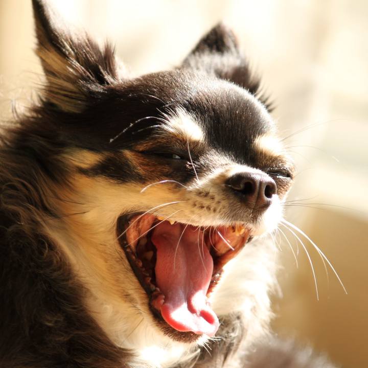 78cab548 2d20 4f9c a486 39e3745b4374 1737769332737